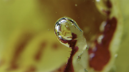 Similar image 22405129