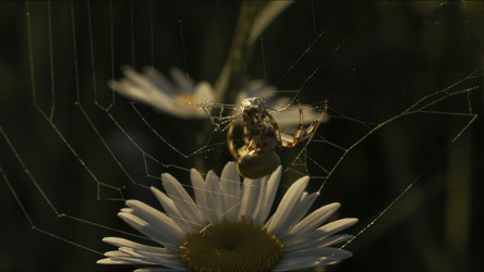 Similar image 22405146