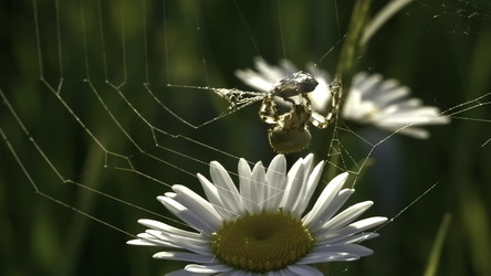 Similar image 22405162