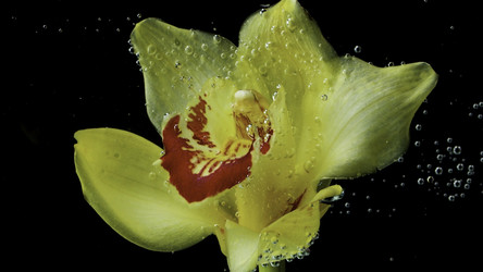 Similar image 22405189