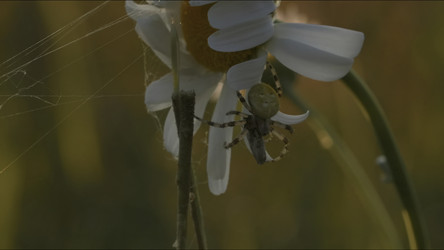 Similar image 22405219