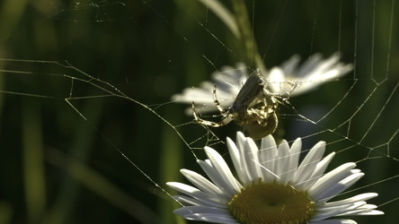 Similar image 22405237