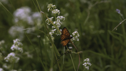 Similar image 22405267