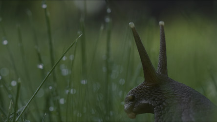 Similar image 22405311