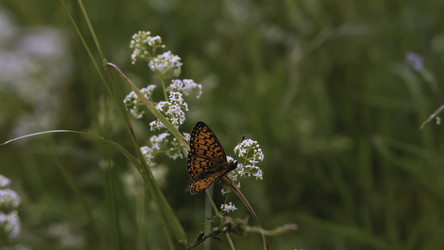 Similar image 22405356