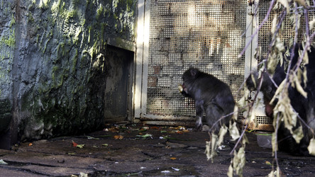 Similar image 22405357