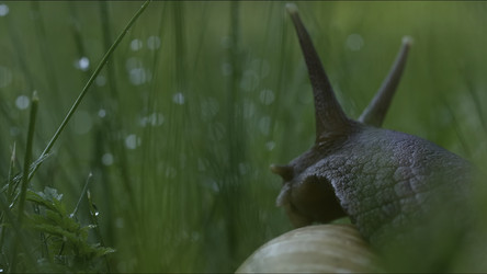 Similar image 22405386