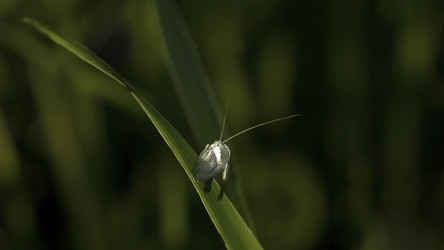 Similar image 22405416