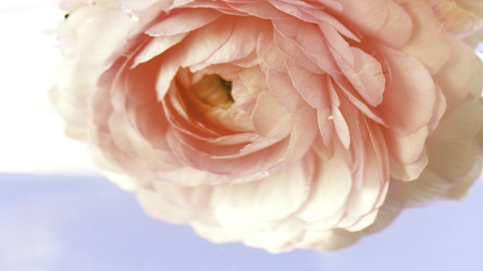 Similar image 22405460