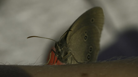 Similar image 22405517