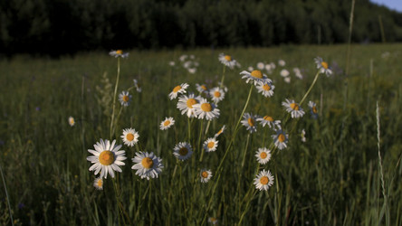 Similar image 22405684