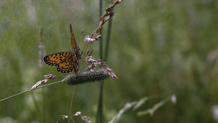 Similar image 22405773