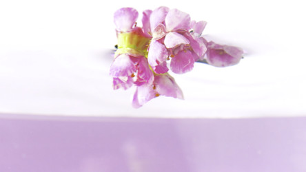 Similar image 22405804