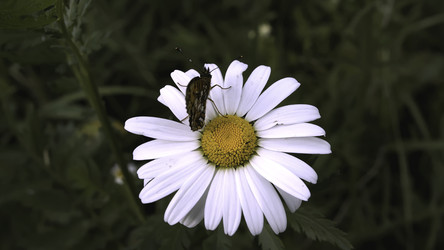 Similar image 22405937