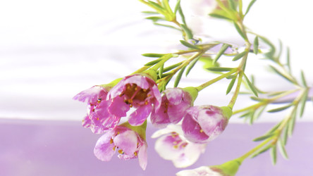 Similar image 22405983