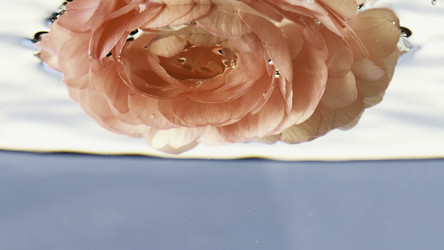 Similar image 22405998