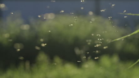 Similar image 22406073