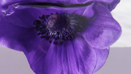 Similar image 22406191