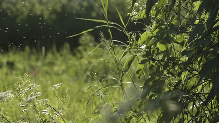 Similar image 22406283