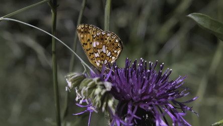 Similar image 22406327