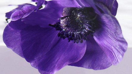 Similar image 22406386