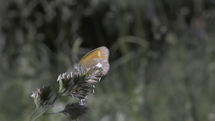 Similar image 22406523