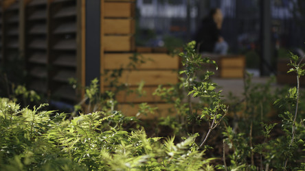 Similar image 22406552