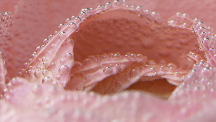 Similar image 22406658