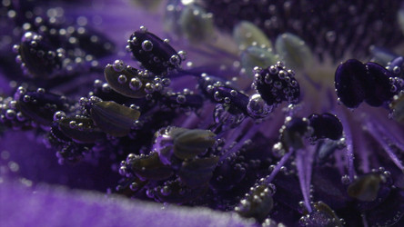 Similar image 22406672