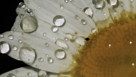 Similar image 22406839