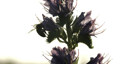 Similar image 22406882