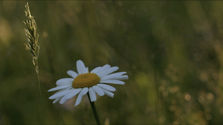 Similar image 22406927