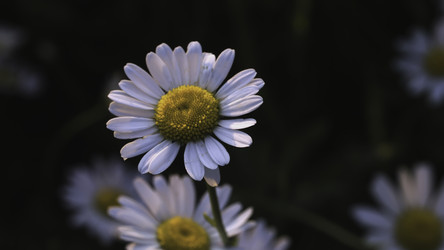 Similar image 22407094