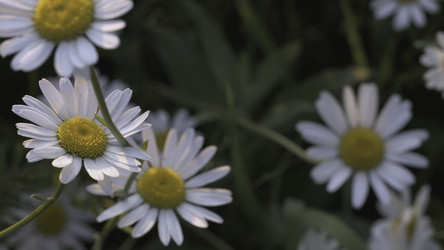 Similar image 22407229