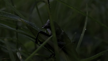 Similar image 22407273