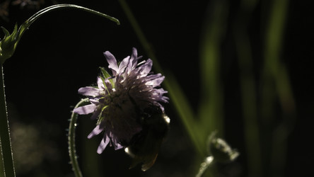 Similar image 22407302