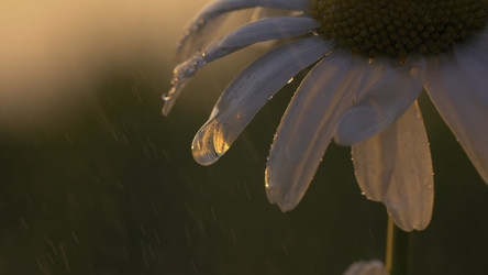 Similar image 22407406