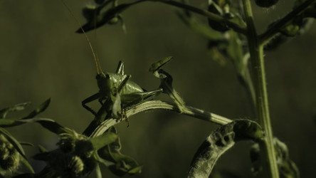 Similar image 22407423