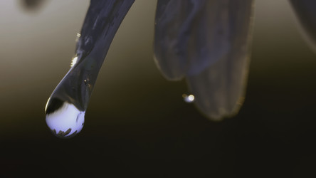 Similar image 22407497