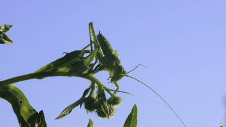 Similar image 22407543