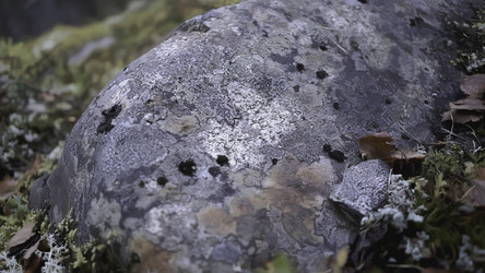 Similar image 22407589