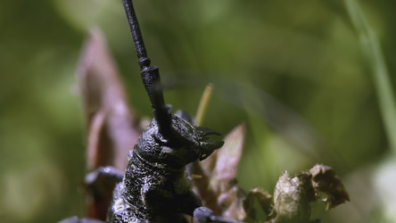 Similar image 22436249