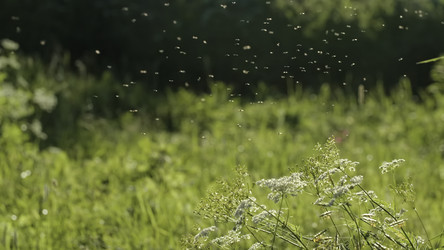 Similar image 22436252