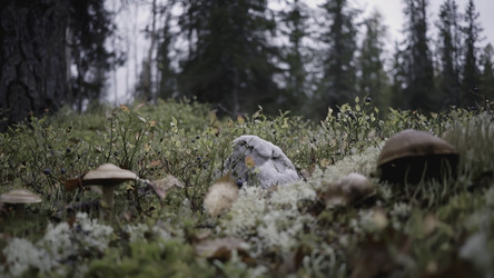 Similar image 22443600