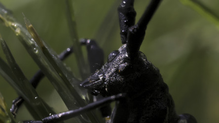 Similar image 22443601