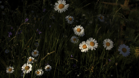 Similar image 22443603