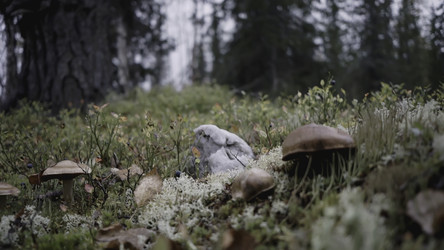 Similar image 22443606