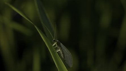 Similar image 22446283