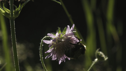 Similar image 22448357