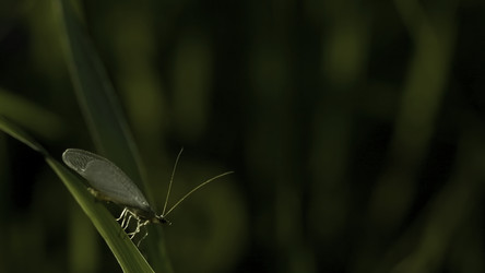 Similar image 22448361